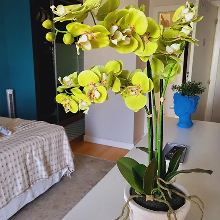 דירה Personal 1 *