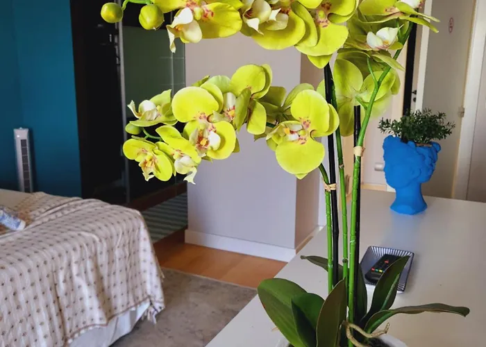 Apartamento Personal 1 *